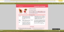 El sustantivo: clasificación general (Libro Casals)