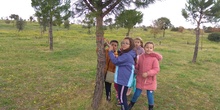 REVOLOTEANDO POR BOSQUE SUR -  3º PRIMARIA (CURSO 19/20) 20