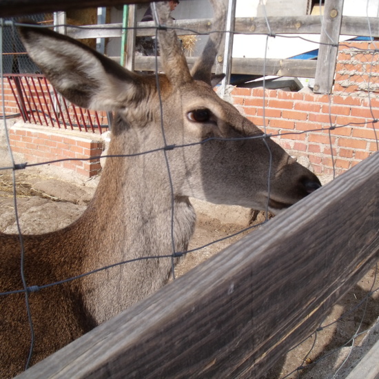 NOCHE MÁGICA 2019 (3ª parte) 28