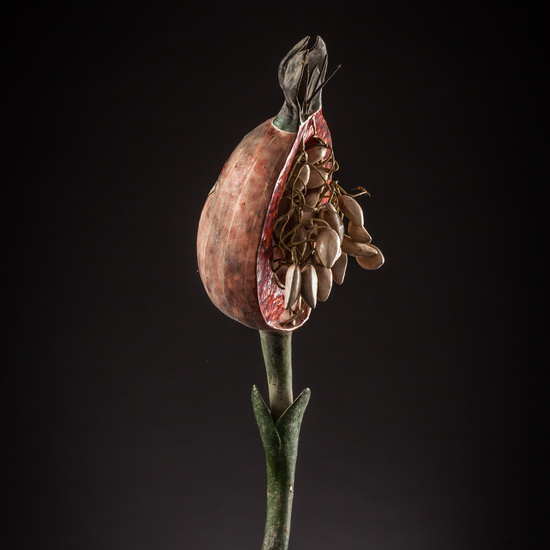 IES_ISABELLACATOLICA_BIOLOGIA_147