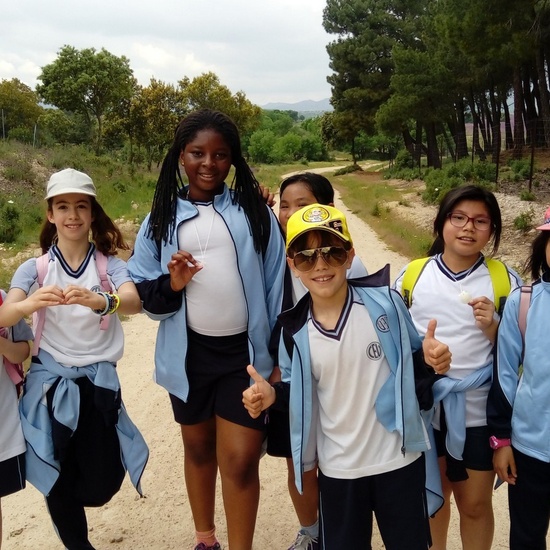 Camino de Santiago 13