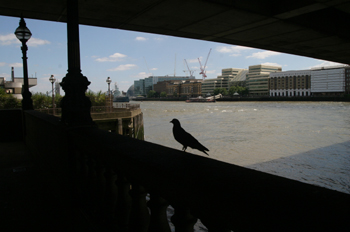 Debajo de un puente del río Támesis, Londres, Reino Unido