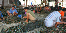 Limpiando mejillones, Jakarta