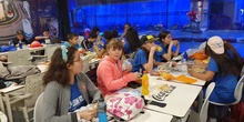 Excursión a Micrópolix de 6º de Primaria 19