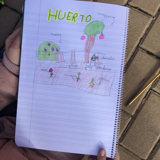 Diseñamos nuestro huerto 4