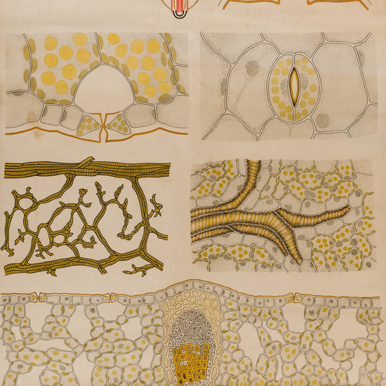 IES_SANISIDRO_LAMINAS_032