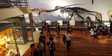 Excursión al museo de ciencias 24