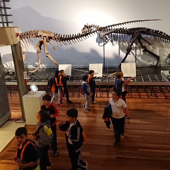 Excursión al museo de ciencias 24