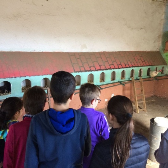 Mohernando 2017_4 20