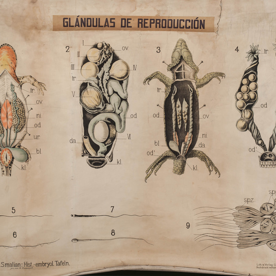 IES_LOPEDEVEGA_CIENCIASNATURALES_056