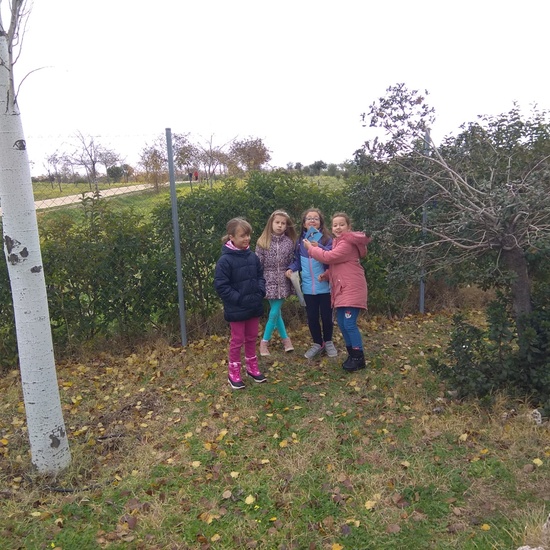 REVOLOTEANDO POR BOSQUE SUR -  3º PRIMARIA (CURSO 19/20) 3