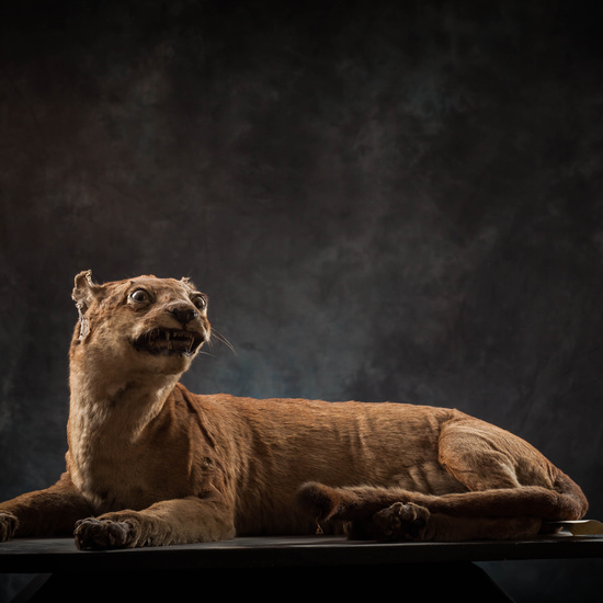 IES_SANISIDRO_MUSEO_Zoolgía_101
