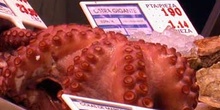 Pulpo en la pescadería