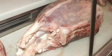 Carne de ternera
