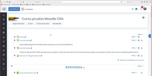 28. Curso Moodle para tiempos de Crisis: Rúbricas de Evaluación