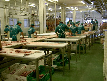 Limpieza de las partes del cerdo