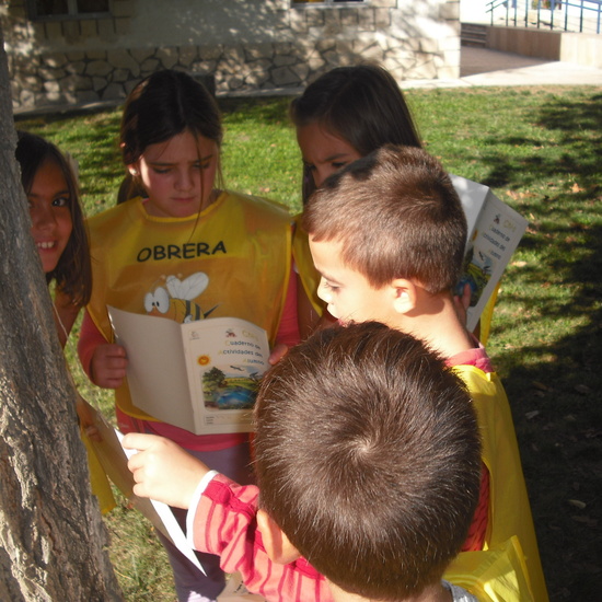 granja cuarta parte 41