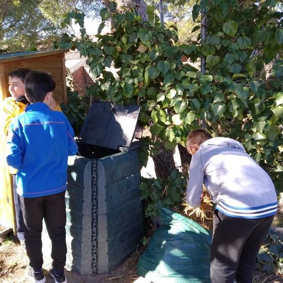 2019_02_24_Quinto termina febrero con las actividades de huerto_CEIP FDLR_Las Rozas_2019 17