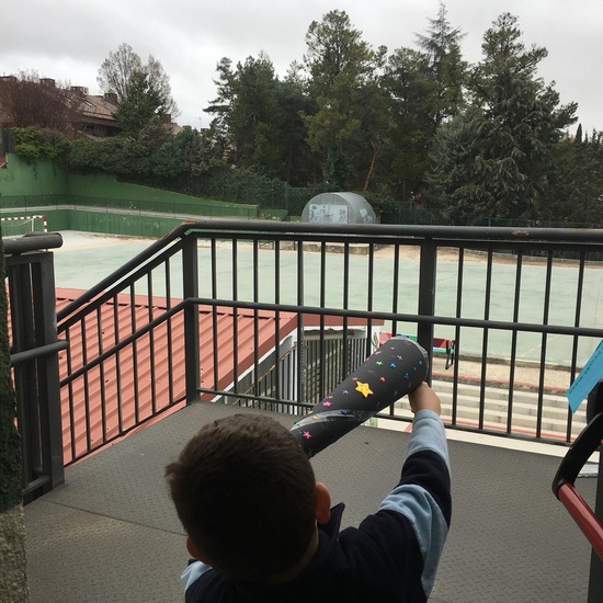 2020_02_17_Proyecto Universo de los monos verdes_CEIP FDLR_Las Rozas  9