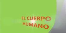 Proyecto del cuerpo humano en E.I.