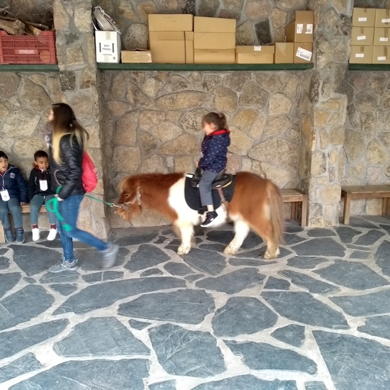 Granja de los Cuentos Infantiles II 33