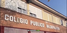 Visita Colegio Valdepalitos