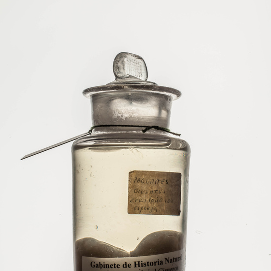 IES_CARDENALCISNEROS_CIENCIASNATURALES_006