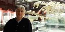 Entrevista. Enrique Baquedano, Director del Museo Arqueológico Reginal de Madrid