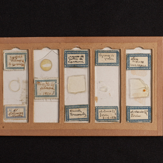 IES_ISABELLACATOLICA_BIOLOGIA_202