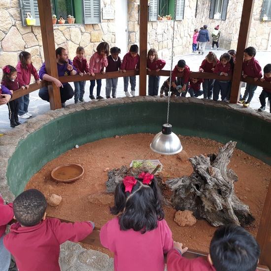 Excursión a la granja (Infantil) 26