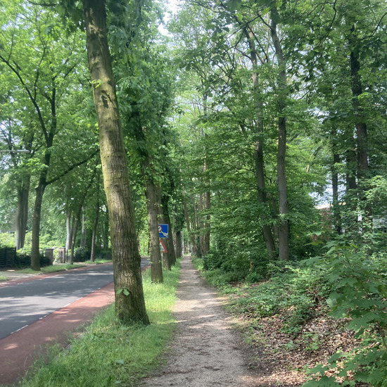 Surroundings Montessori