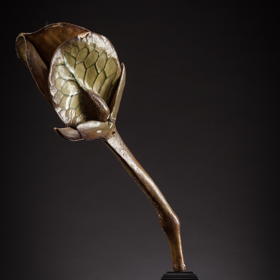 IES_ISABELLACATOLICA_BIOLOGIA_103