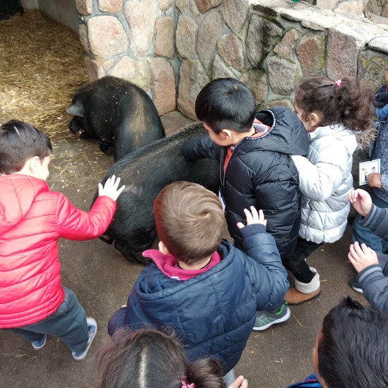 Granja de los Cuentos Infantiles I 10