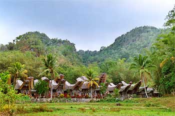 Vista general de poblado Toraja, Sulawesi, Indonesia