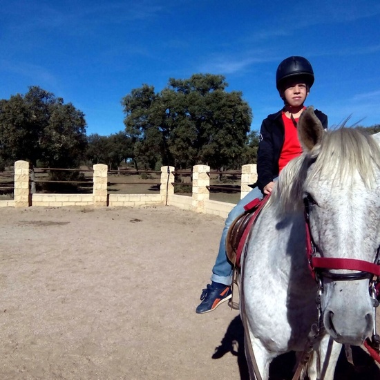 Moheranado 2017_24oct 3