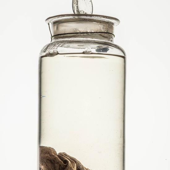 IES_CARDENALCISNEROS_CIENCIASNATURALES_028