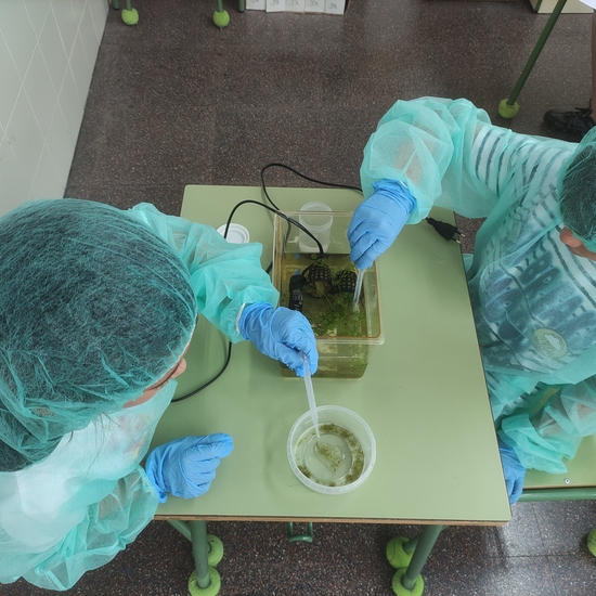 Día 9 - limpiando el faunario (foto 2)