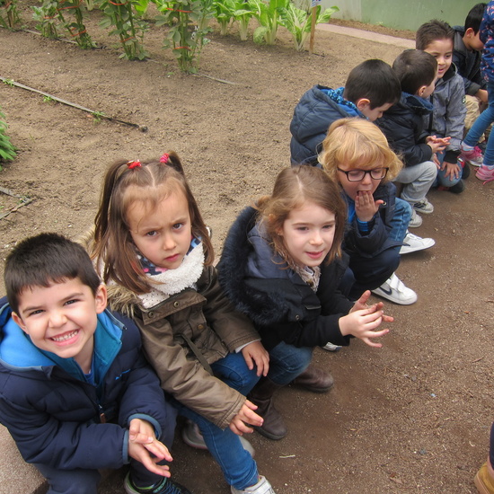 Granja Escuela Educación Infantil Curso 2017-18_2 23