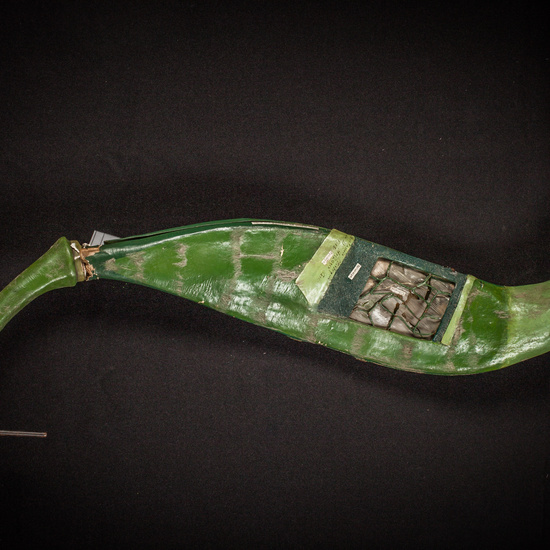 IES_ISABELLACATOLICA_BIOLOGIA_155