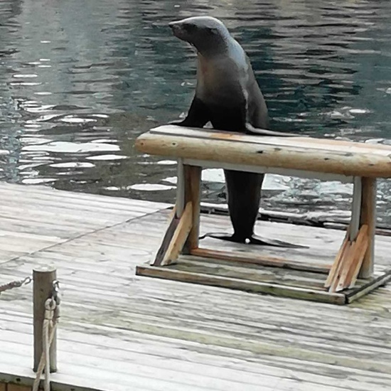 Parque de la Naturaleza. Faunia. 5º Curso. 39