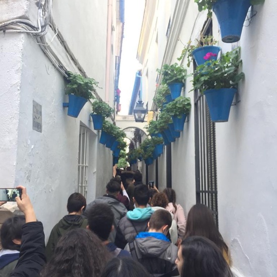 Viaje cultural Córdoba-Granada 17