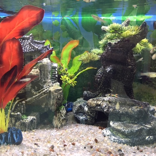 Galería CPEE Sor Juana Inés de la Cruz 6