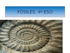 REPOSTAJE: REPASO FÓSILES