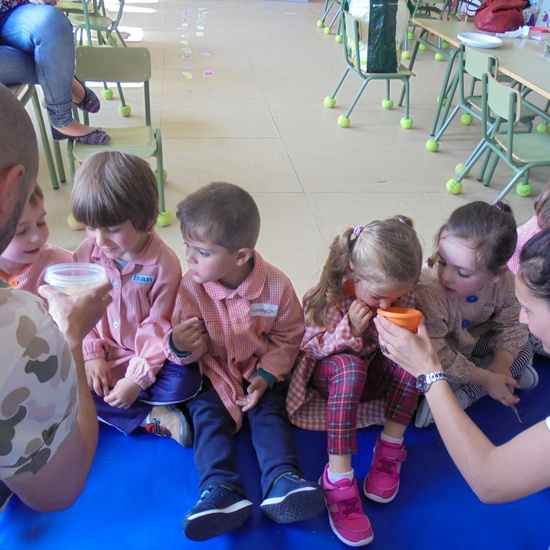 Sesión de los sentidos 38