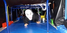 Halloween17 CEIP Vicente Ferrer 17