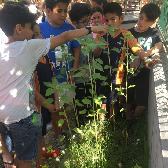 El año hortelano de 4º B 43