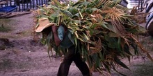 Hombre acarreando maíz en San Pedro La Laguna, Guatemala