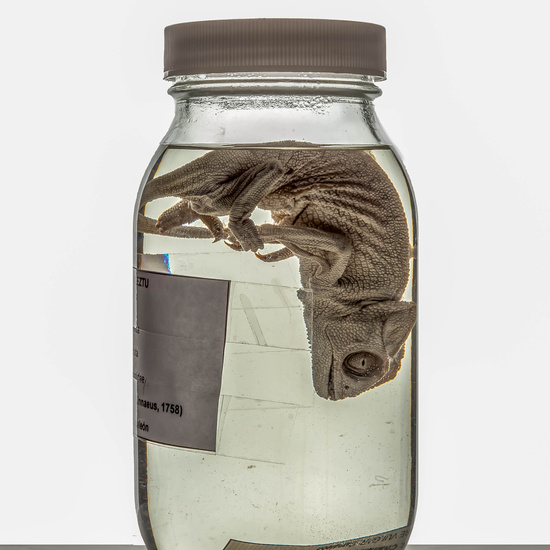 IES_RAMIRODEMAEZTU_BIOLOGIA_077