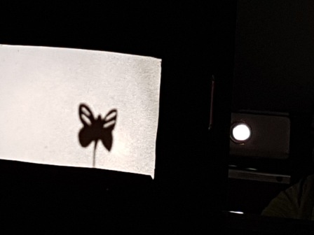 Los pulpos y las sombras chinas 9