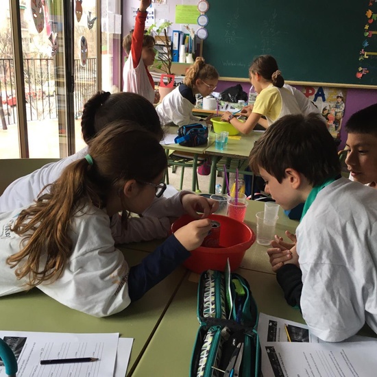 Acercamiento al Método Ciéntífico. 4º Curso. 5